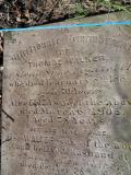 image of grave number 107306
